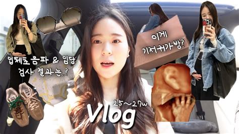 Vlog 🤰임신 25~27주차 🛍️기저귀가방 언박싱 🌸봄맞이 쇼핑 임산부 청바지 추천 입체초음파and임당 검사 결과