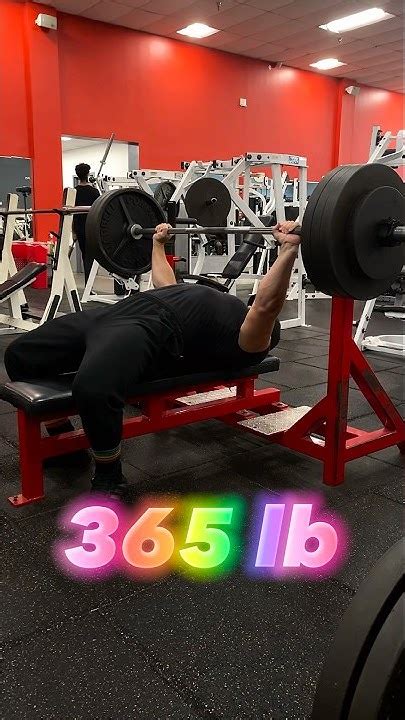 365 Lb Bench Press Youtube