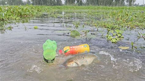 Plastic Bottle Fish Trap Village Boy Catching Fish Using Plastic