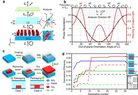 Pdf Electrically Tunable Multifunctional Polarization Dependent