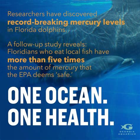 One Ocean One Health [image] Eurekalert Science News Releases