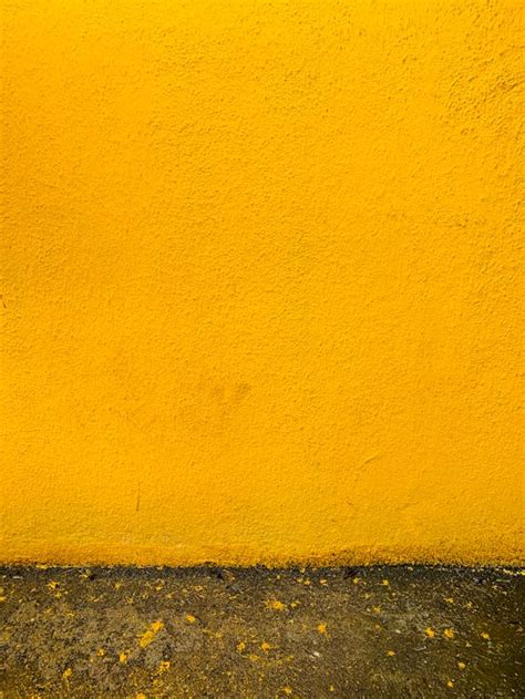 Photo of Mustard Yellow Wall · Free Stock Photo