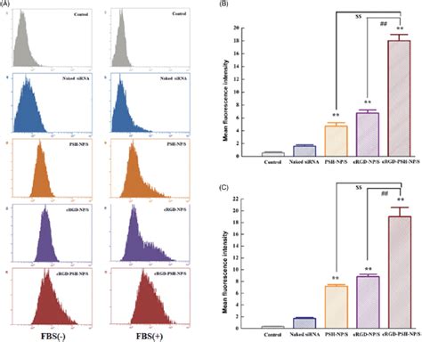 Cellular Uptake Of Cy Labled Surviving Sirna Delivered By The