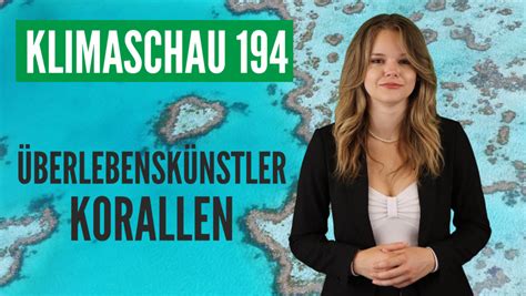 Klimaschau Korallen Wehren Sich Gegen Den Klimawandel Effektiver