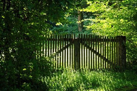 Free Images Tree Nature Forest Grass Fence Lawn Sunlight