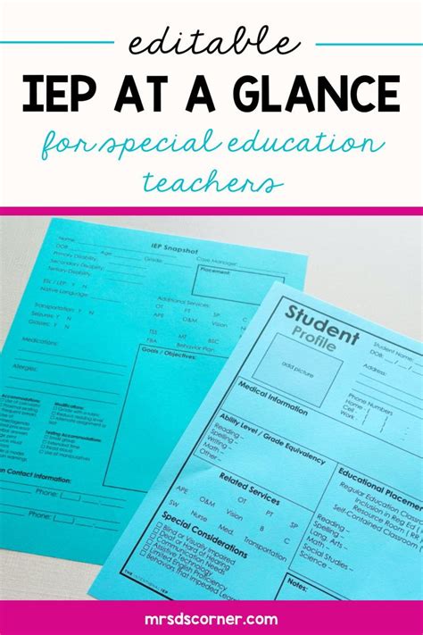 Editable IEP Snapshot IEP At A Glance IEP Data Sheet Special