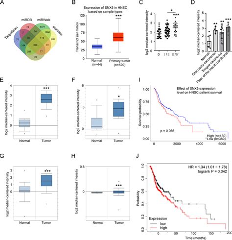 The Target Genes Prediction And Analysis Of Mir C P A The Target