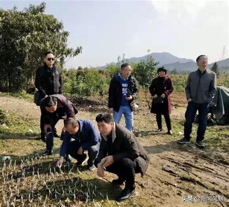 永平鎮招商引資立新項 企業家反哺家鄉共致富 每日頭條