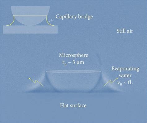 Visualizing Capillary Bridges Clear Visualization Of A Water