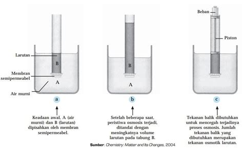 Apa Itu Tekanan Osmotik Dan Bagaimana Prosesnya Kimia Kelas