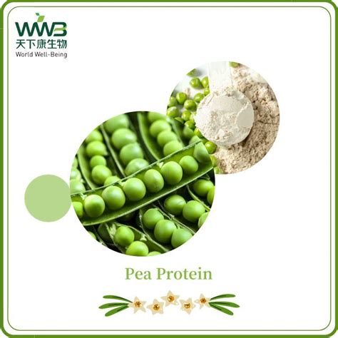 Food Grade Protein Powder Plant Extract Pea Protein Isolate Pea Protein