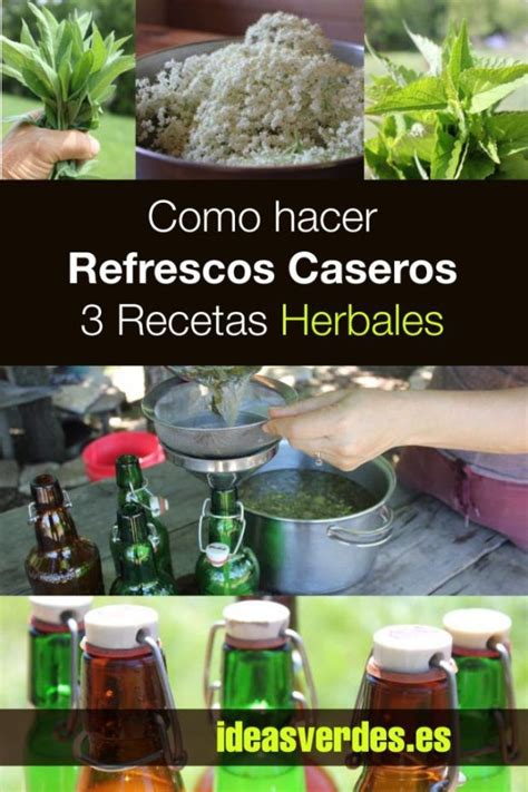 Como Hacer Un Refresco Casero Tres Recetas Herbales Usando Hierbas