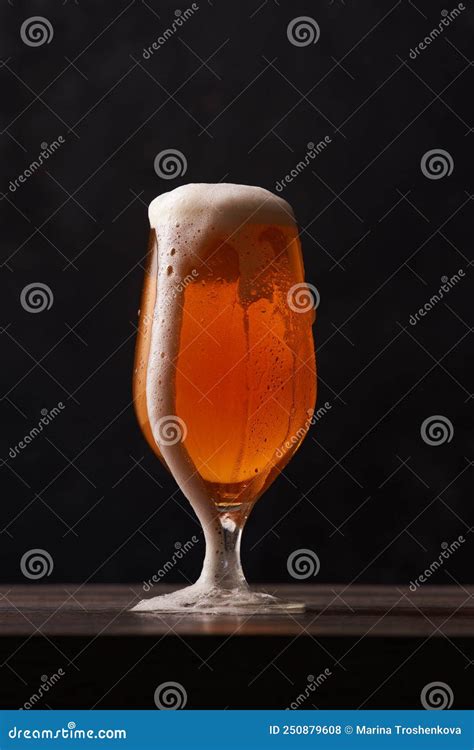 Tulip Glass Of Beer On Black Background Stock Photo Image Of Lager