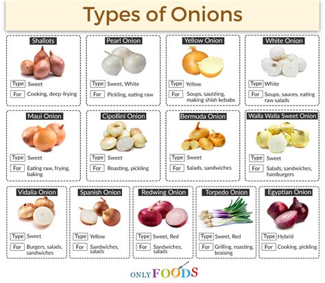 13 Different Types of Onions with Pictures