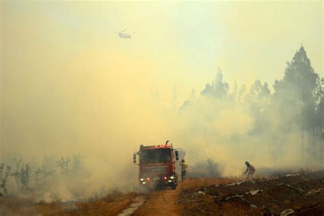 Incendios Forestales Gobierno Decreta Zona De Emergencia Agrícola En