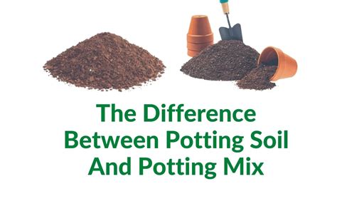 What Is The Difference Between Potting Soil And Potting Mix Indoor