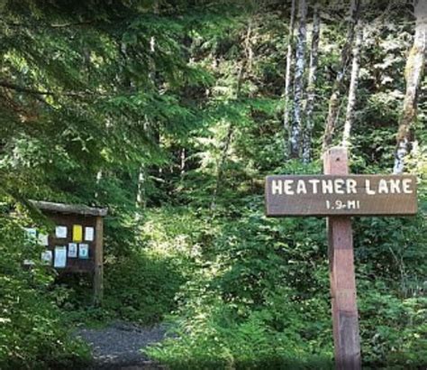 Hiking Washington's Heather Lake Trail