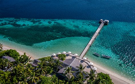 Living Reefs - Wakatobi Flow | Wakatobi Flow