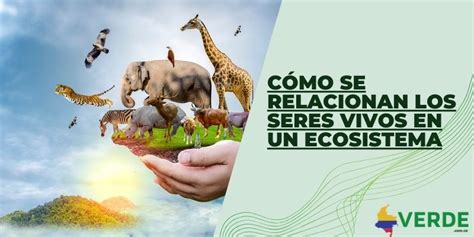 5 Factores Que Afectan El Ecosistema Colombia Verde