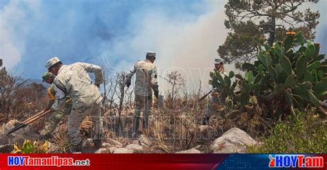 Hoy Tamaulipas Incendio En Sierra De Ciudad Victoria Ha Consumido Mas