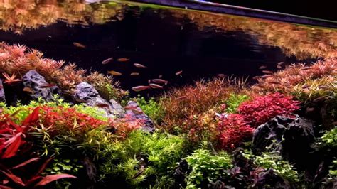 4ft Aquascape Cave With Ridgeline Youtube