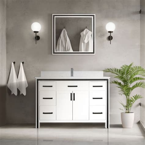 Lexora Ensemble De Meuble Lavabo Simple 48 Po Avec Miroir Ziva