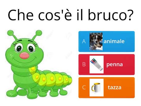 Il Bruco E La Farfalla Quiz