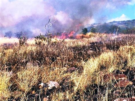 Hutan Lindung Egon Ilimedo Kembali Terbakar Bagaimana Pencegahannya