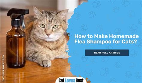 How to Make Homemade Flea Shampoo for Cats?