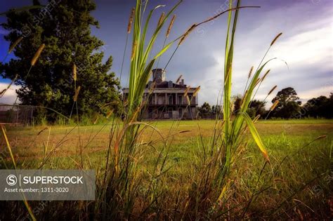 The haunted Le Beau Mansion, Old Arabi, Louisiana. - SuperStock