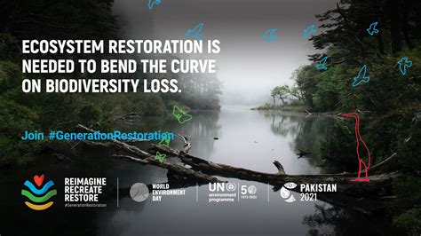 World Environment Day 2021 Call For Actions To Restore Our Degraded