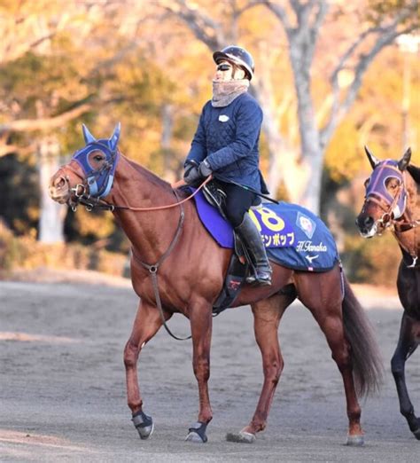 【フェブラリーs】レモンポップ在厩2戦目前進 田中博師「変わりなく順調」 Spread