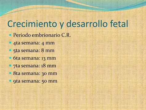 Crecimiento Y Desarrollo Fetal Ppt