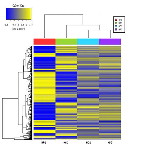 Hierarchical Clustering Analysis By Euclidean Distance And Complete Download Scientific Diagram