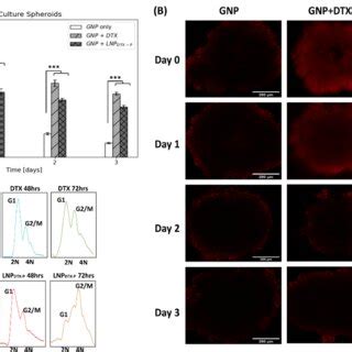 Gold Nanoparticle GNP Uptake And Retention In Pancreatic Cancer