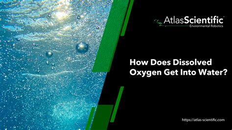 How Does Dissolved Oxygen Get Into Water? | Atlas Scientific