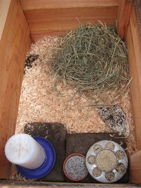 The New Quail Coop Is Finished Out Of Eden Quail Coop Quail Quail