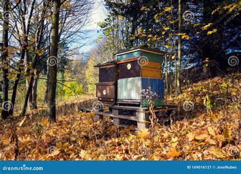 Colorful Wooden Beehives In Beautiful Autumn Nature Sunny Day Stock