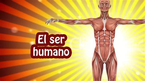 24 curiosidades sobre el ser humano y su cuerpo Sabías que YouTube