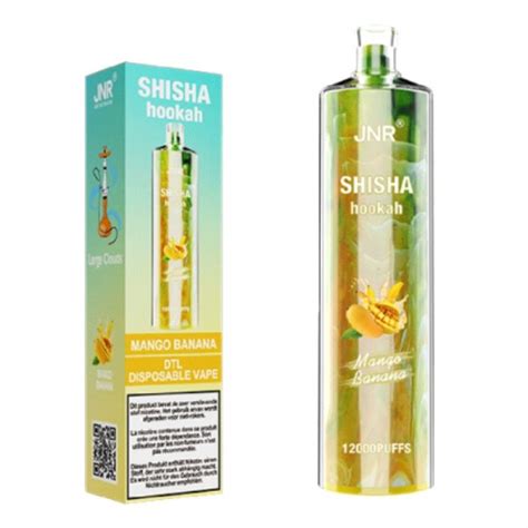 Jnr Shisha Hookah 12k Disposable Vape 10pcspack Vapesourcing