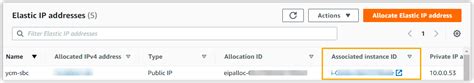 Allocate And Associate Elastic Ip Addresses