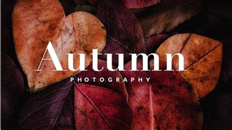 20 Free Adobe Lightroom Autumn Presets For Photographers