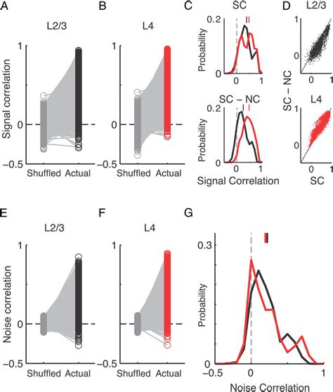 Differences In Signal And Noise Correlations In L23 And L4 Neuron