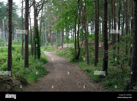 Ainsdale dunes nature reserve hi-res stock photography and images - Alamy