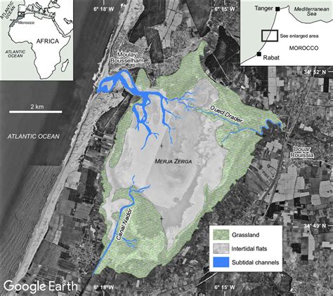 Location and general shape of Merja Zerga lagoon | Download Scientific ...