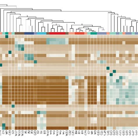 Heatmap Showing Genus Level Microbial Composition The Relative Download Scientific Diagram