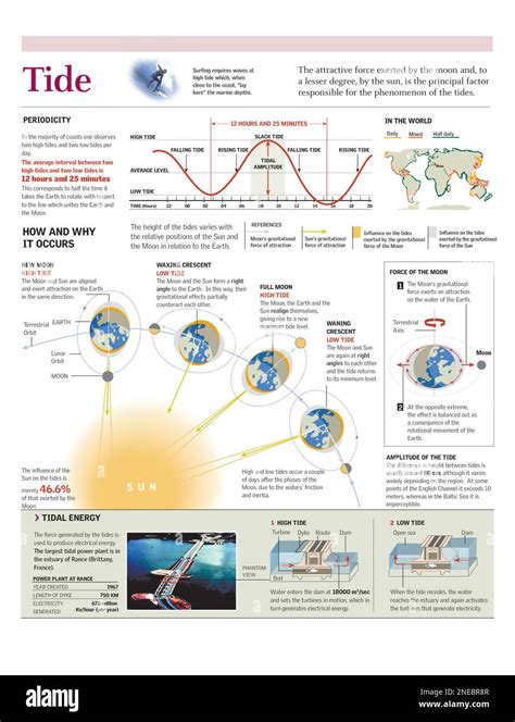 Infograf As De C Mo Se Produce El Fen Meno De Las Mareas Por La