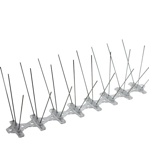 Popular types of bird spikes