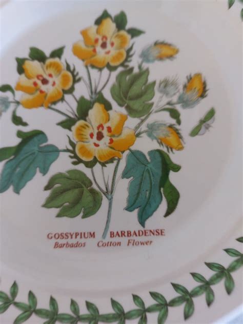 Portmeirion Botanic Garden Side Plate X Diameter Ebay