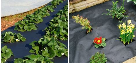 Черный укрывной материал: 6 важных моментов использования